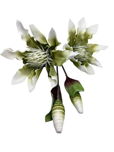 Magnolia piankowa duża gałązka 107 cm zielona