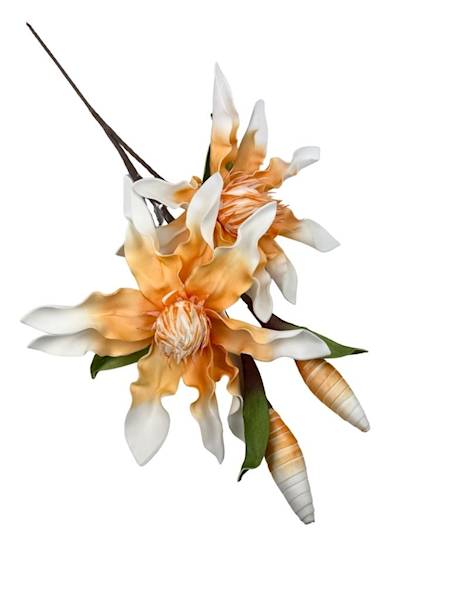 Magnolia piankowa duża gałązka 107 cm pomarańczowa