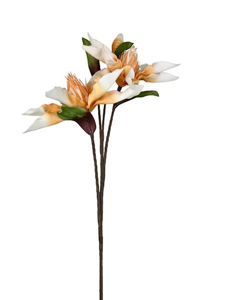 Magnolia piankowa duża gałązka 107 cm pomarańczowa
