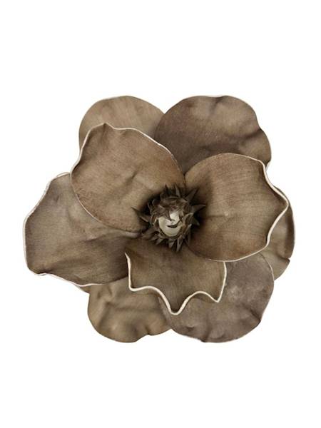 Magnolia piankowa 20 cm ciemny beż