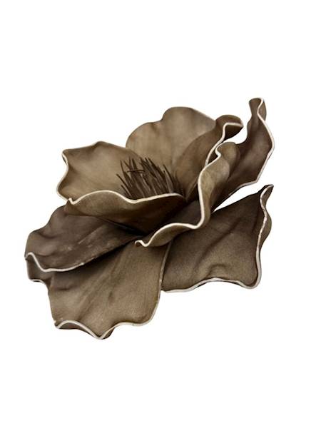 Magnolia piankowa 20 cm ciemny beż
