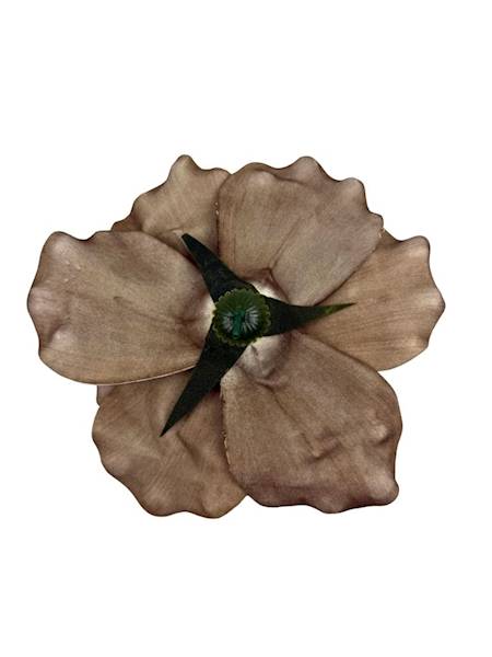 Magnolia piankowa 20 cm ciemny beż