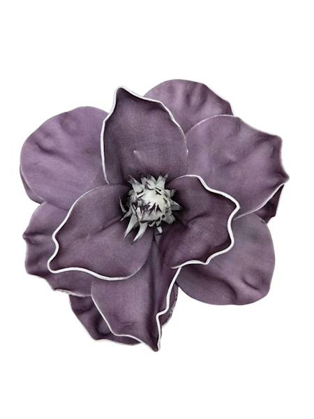 Magnolia piankowa 20 cm brudny fiolet