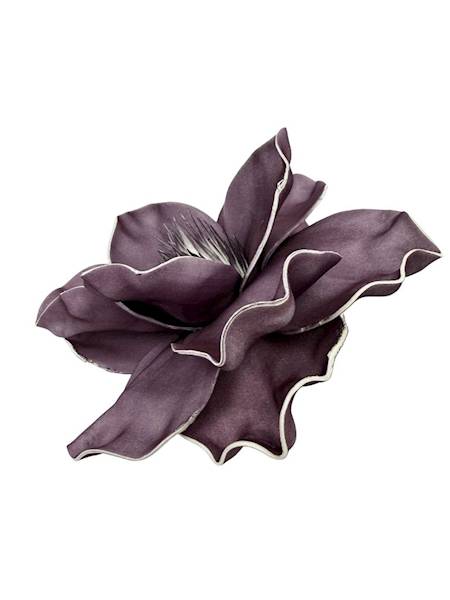 Magnolia piankowa 20 cm brudny fiolet