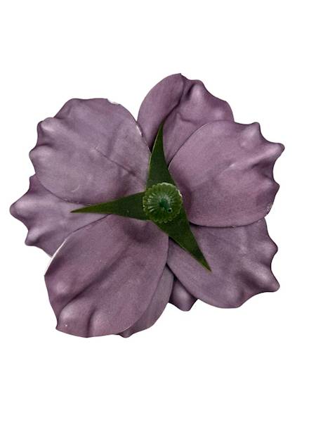 Magnolia piankowa 20 cm brudny fiolet