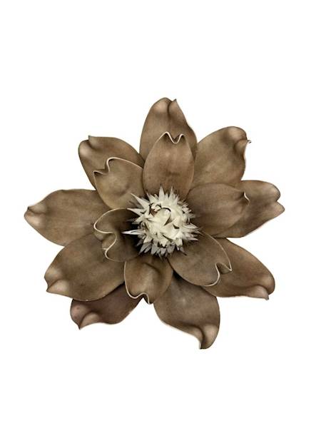 Magnolia piankowa 25 cm ciemny beż