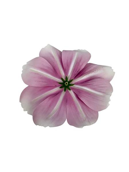 Warszawianka główka 13 cm róż 2 SZTUKI