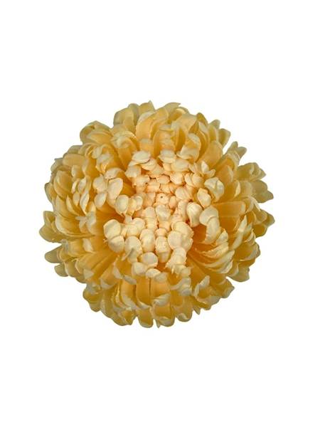 Chryzantema główka XL 16 cm waniliowa