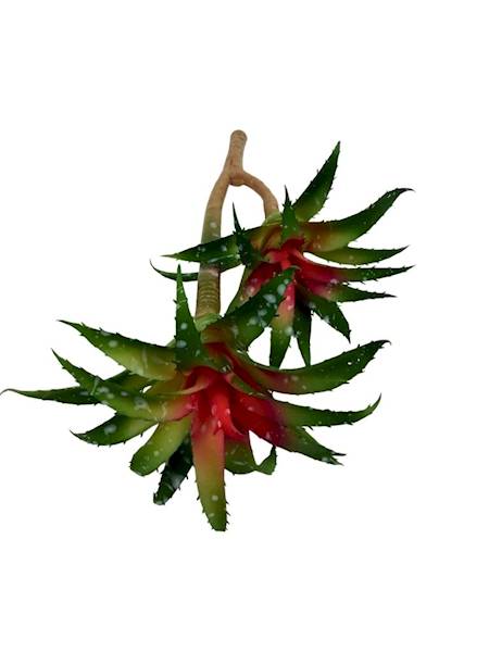 Sukulenty gałązka 29 cm