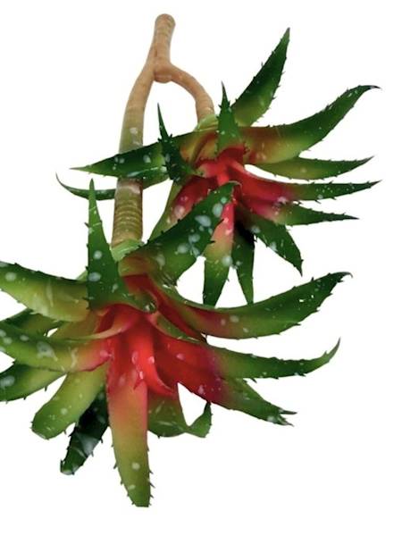 Sukulenty gałązka 29 cm