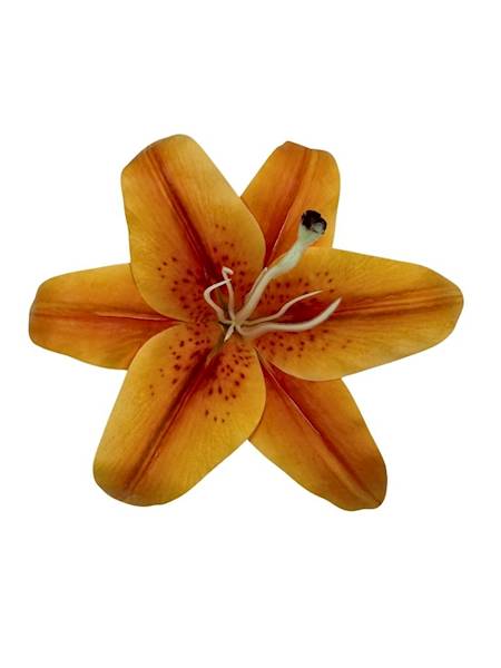 Lilia główka silikonowa 18 cm pomarańczowa