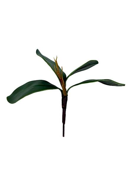 Liść storczyka 22 cm