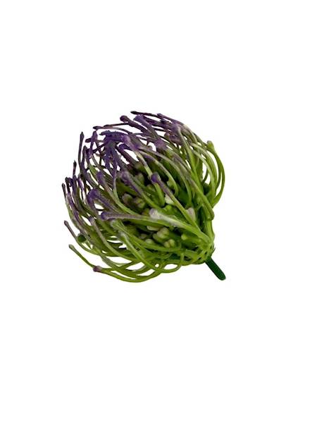Czosnek główka 6 cm fiolet 2 SZTUKI