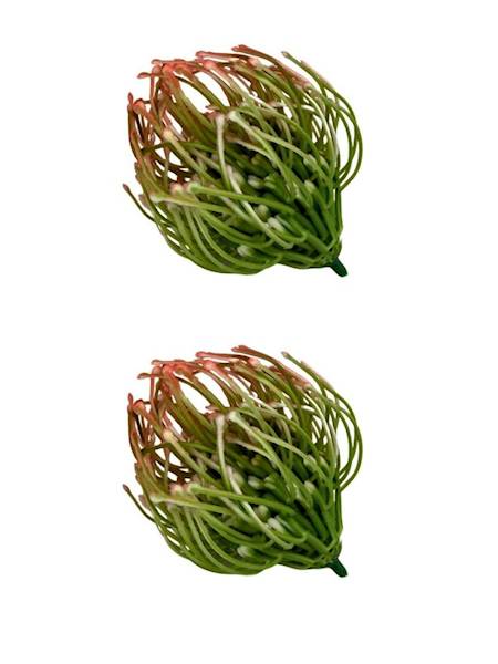 Czosnek główka 6 cm pomarańcz 2 SZTUKI