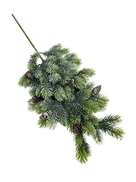 Jodła z szyszkami galązka 60 cm