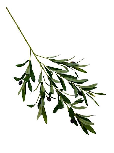 Gałązka oliwna oliwki 80 cm