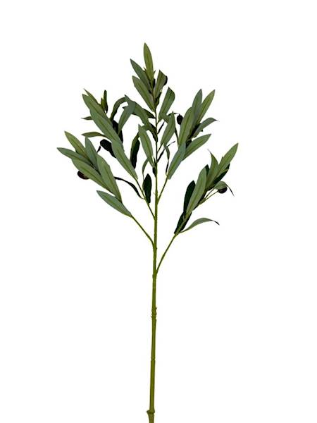 Gałązka oliwna oliwki 80 cm