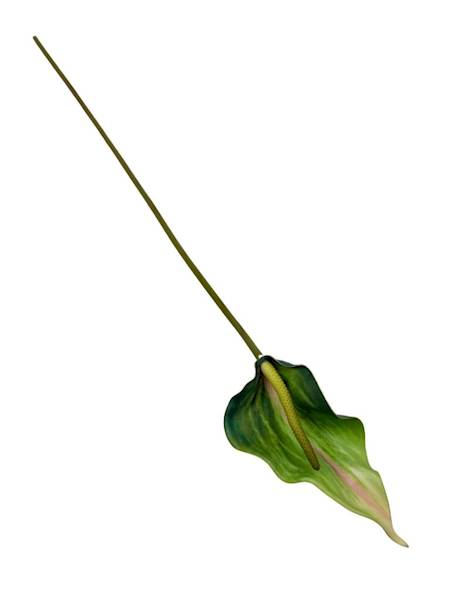 Kalla kalia gałązka 70 cm zielona