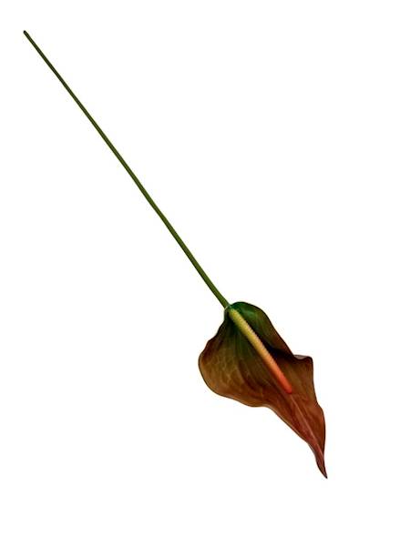 Kalla kalia gałązka 70 cm jasny brąz i zielony