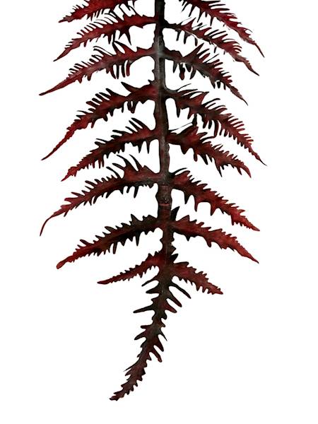 Liść paproć gałązka 64 cm bordo
