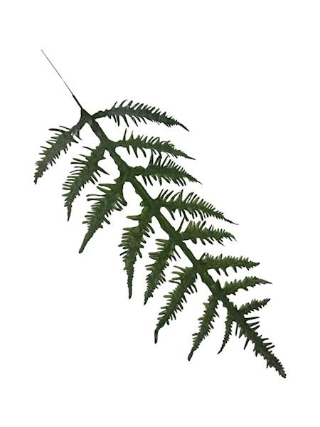 Liść paproć gałązka 64 cm zielony