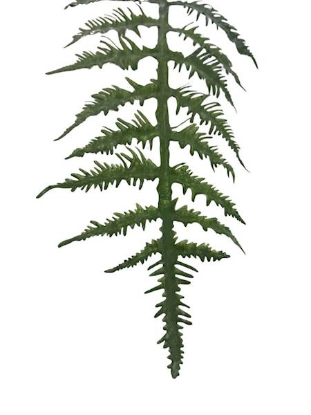 Liść paproć gałązka 64 cm zielony