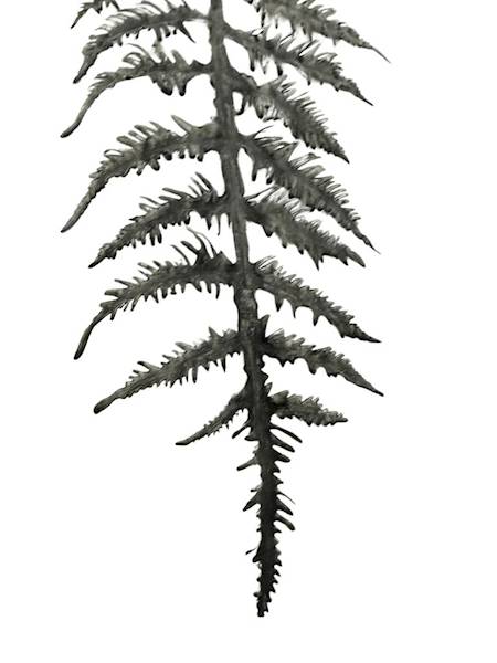 Liść paproć gałązka 64 cm szary