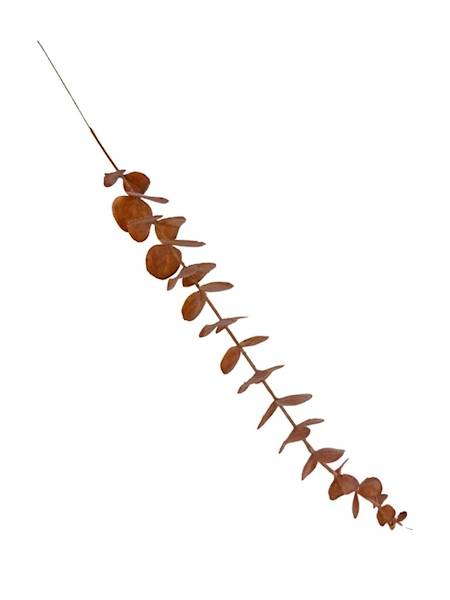 Eukaliptus gałązka 50 cm pomarańcz 2 SZTUKI