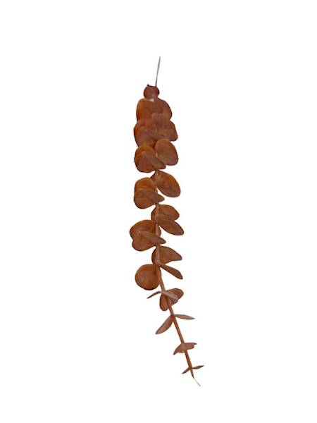 Eukaliptus gałązka 50 cm pomarańcz 2 SZTUKI