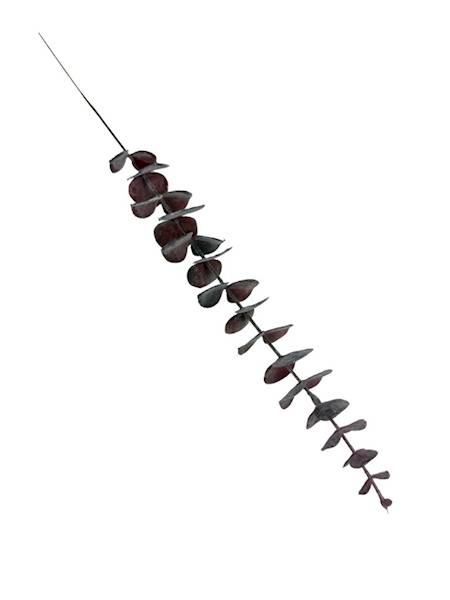 Eukaliptus gałązka 50 cm bordo 2 SZTUKI