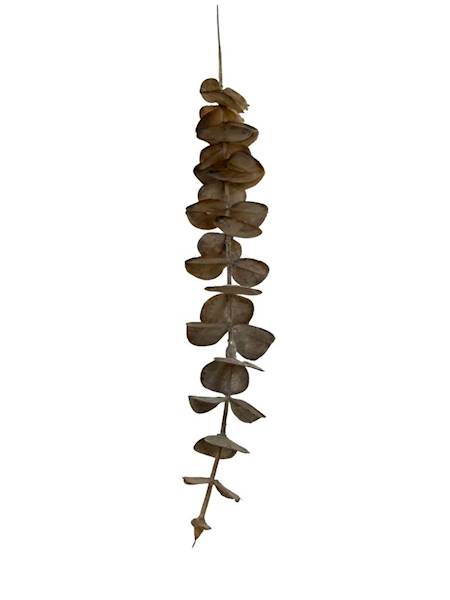 Eukaliptus gałązka 50 cm jasny brąz 2 SZTUKI