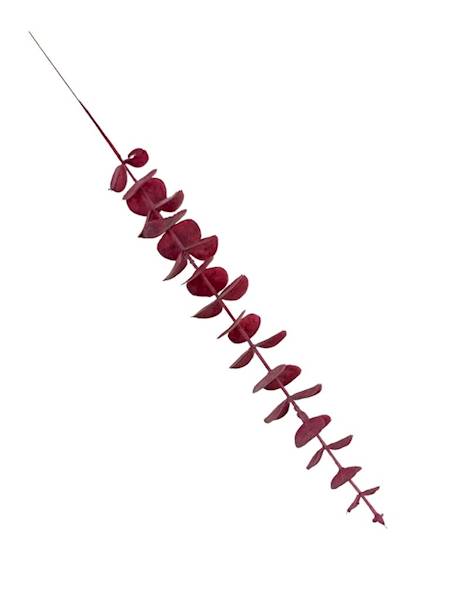 Eukaliptus gałązka 50 cm czerwony 2 SZTUKI