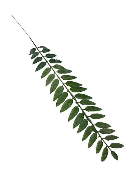 Liść gałązka 50 cm zielony 2 SZTUKI