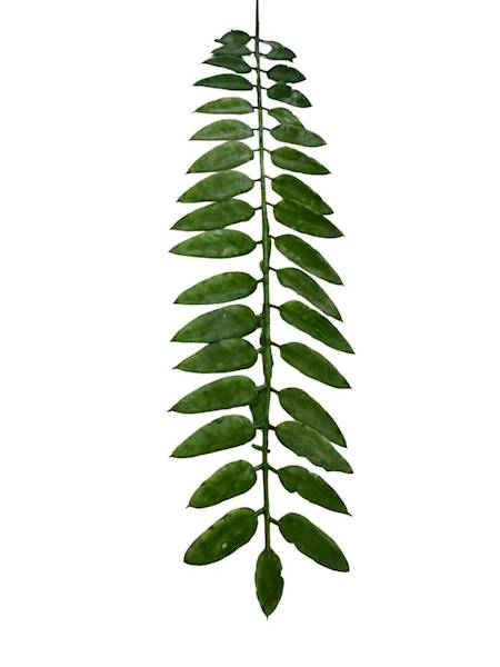 Liść gałązka 50 cm zielony 2 SZTUKI
