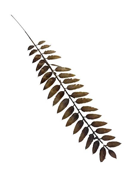 Liść gałązka 50 cm jasny brąz 2 SZTUKI
