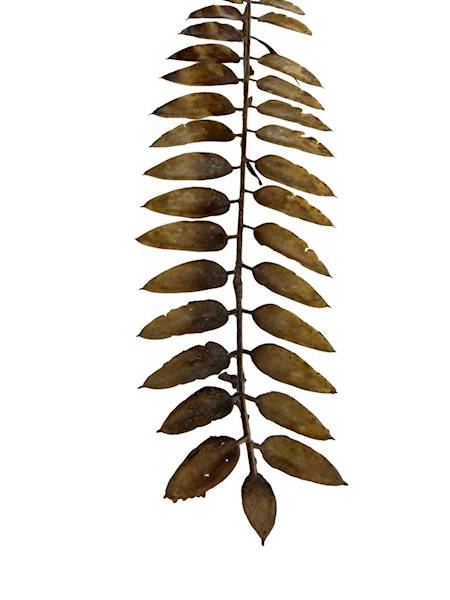 Liść gałązka 50 cm jasny brąz 2 SZTUKI