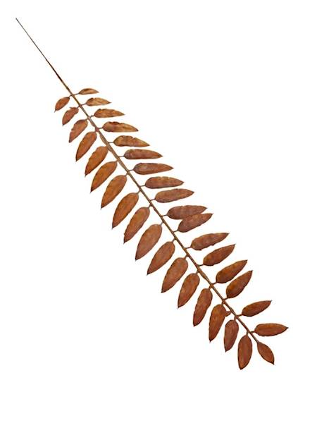 Liść gałązka 50 cm pomarańcz 2 SZTUKI