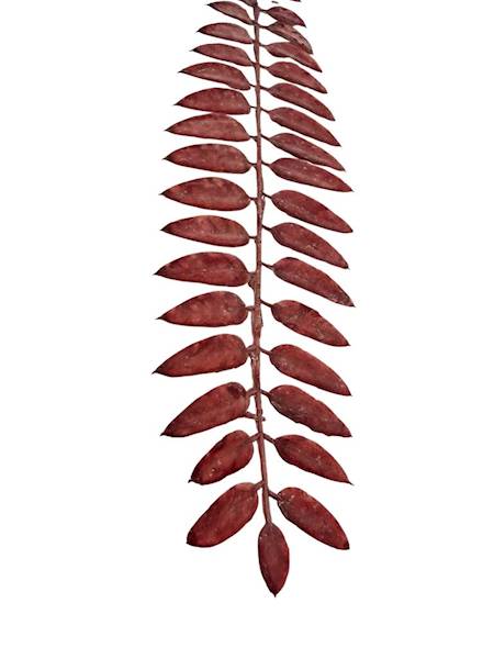 Liść gałązka 50 cm czerwony 2 SZTUKI
