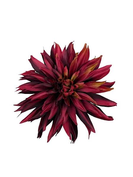 Dalia główka 18 cm bordowa