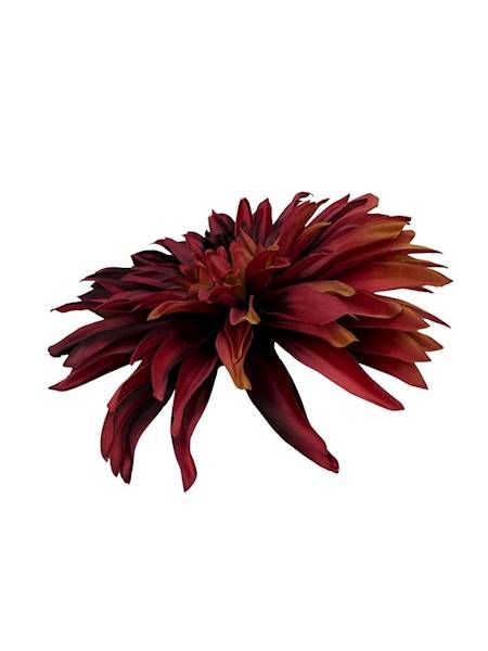 Dalia główka 18 cm bordowa