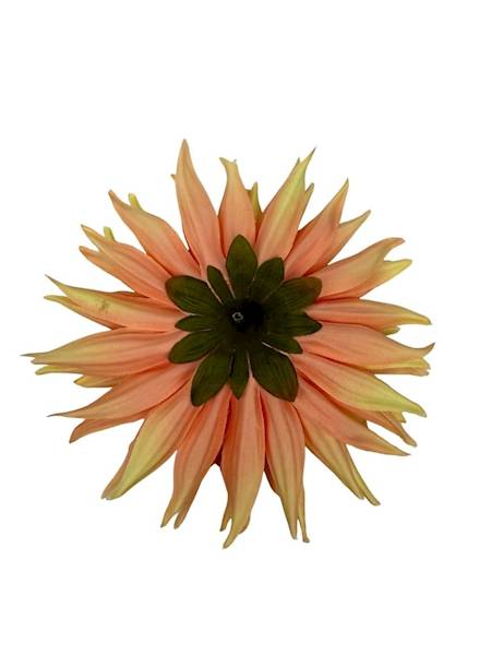 Dalia główka 18 cm brzoskwinia