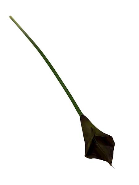 Kalia gumowa 70 cm oliwka brąz