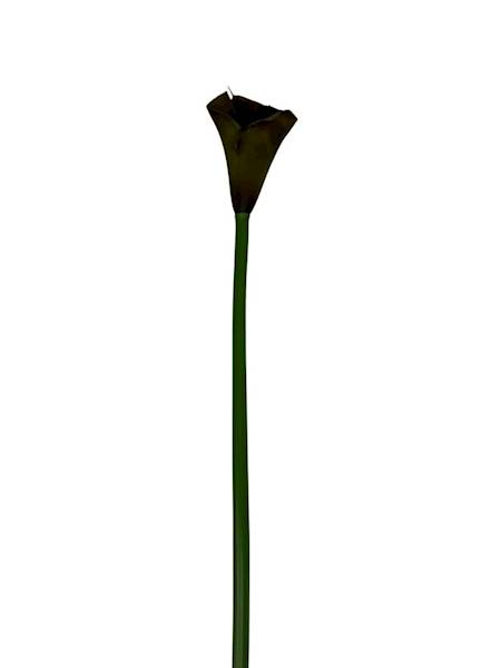 Kalia gumowa 70 cm oliwka brąz