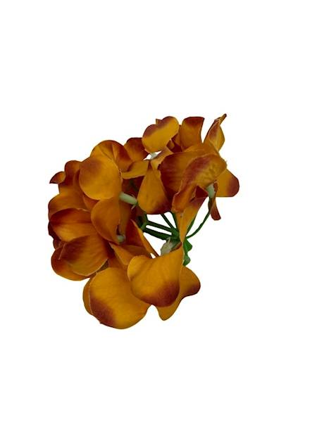 Hortensja główka 13 cm musztardowa
