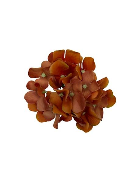 Hortensja główka 13 cm pomarańcz