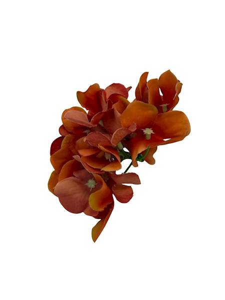 Hortensja główka 13 cm pomarańcz