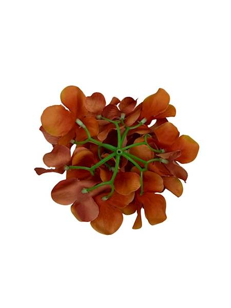 Hortensja główka 13 cm pomarańcz