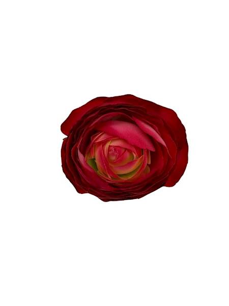 Pełnik główka 8 cm ciemny róż