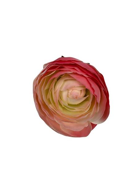 Pełnik główka 8 cm róż krem