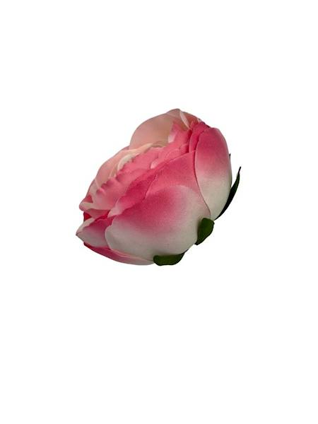 Pełnik główka 8 cm róż krem